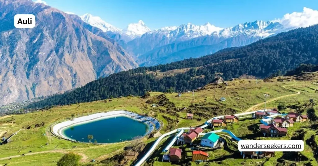 Auli