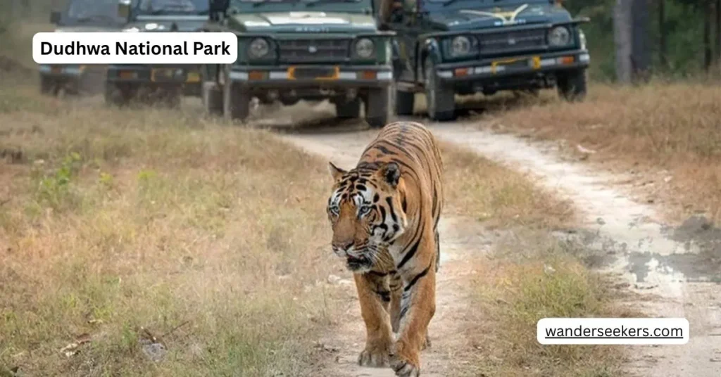 Dudhwa National Park