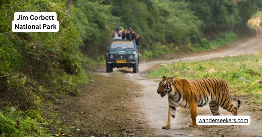 Jim Corbett National Park