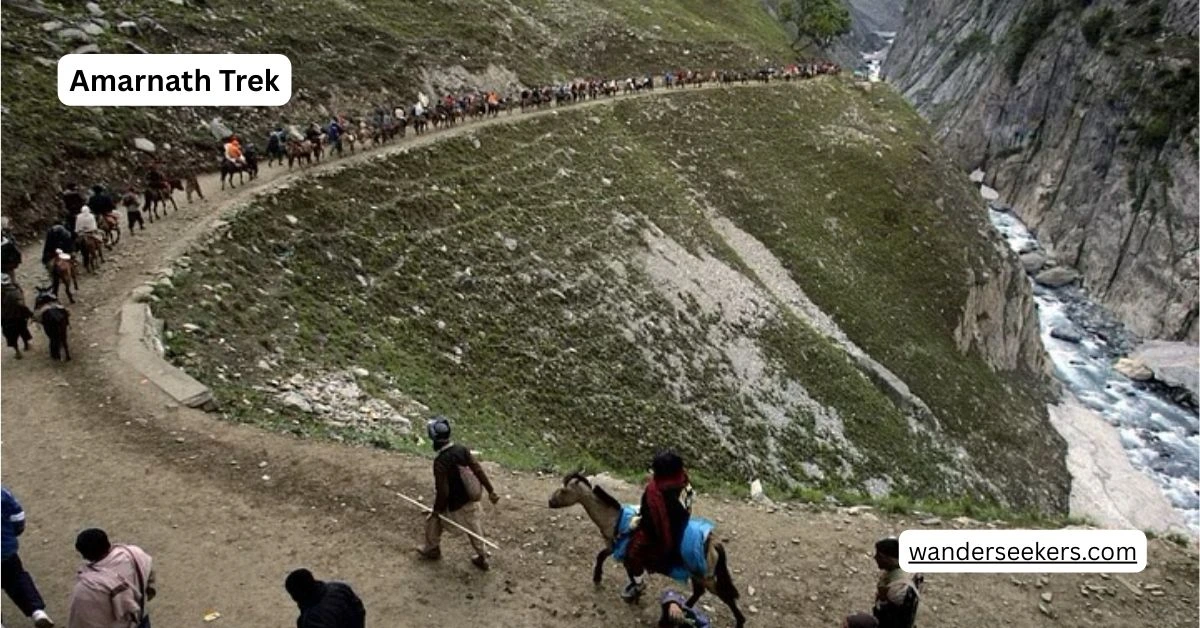 Amarnath Trek