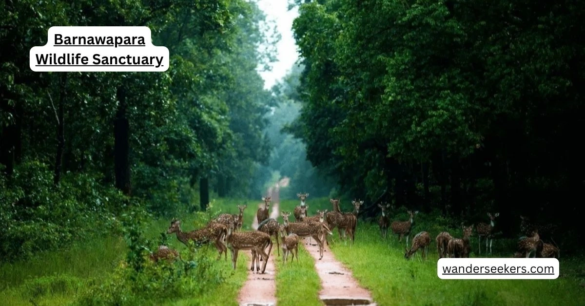 Barnawapara Wildlife Sanctuary