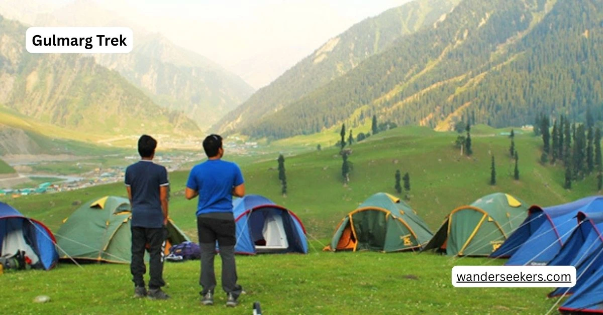 Gulmarg Trek