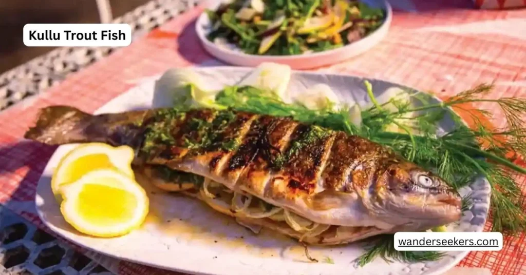 Kullu Trout Fish
