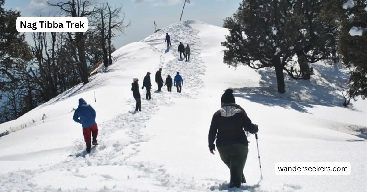 Nag Tibba Trek