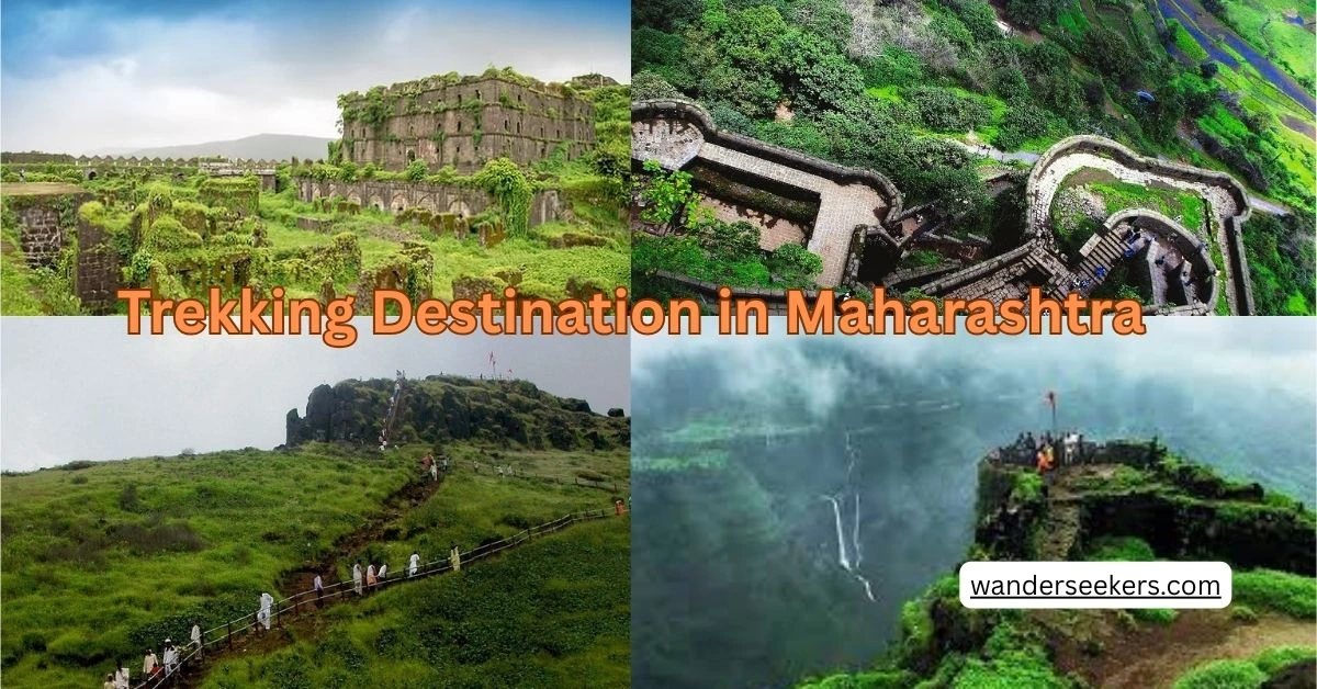 Top 10 Trekking Destination in Maharashtra