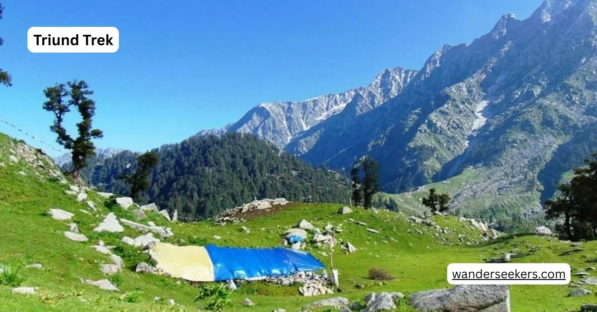 Triund Trek