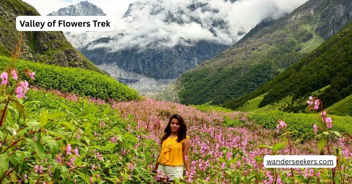 Valley of Flowers Trek